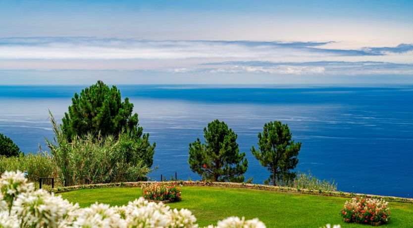 Photo of Hydrangea Hills