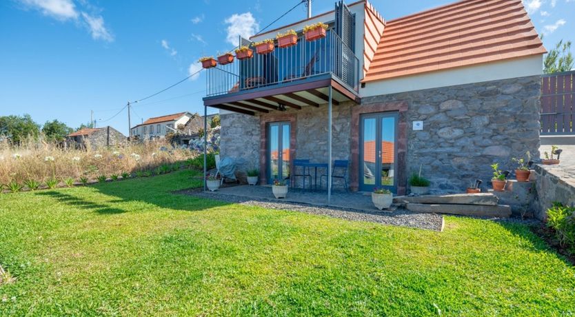 Photo of Hydrangea Hills