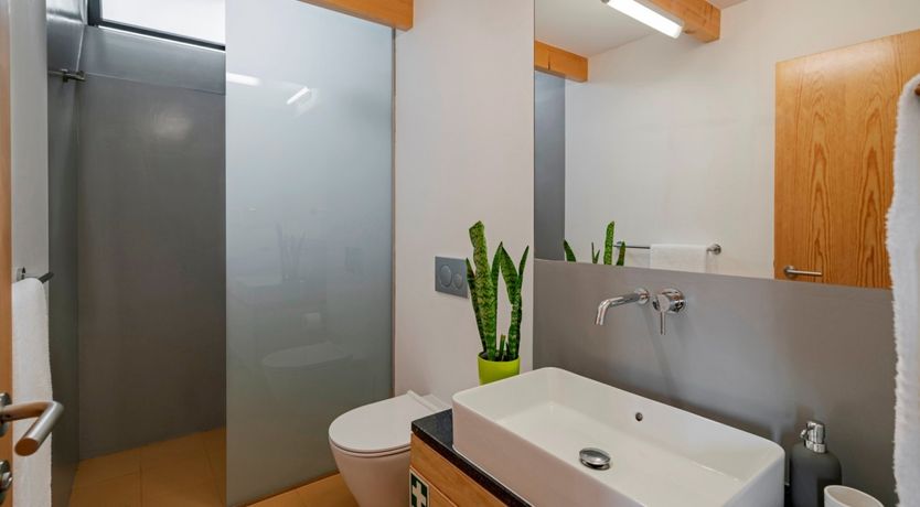 Photo of Hydrangea Hills