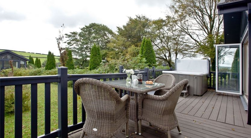 Photo of Leap From the Lily Pad