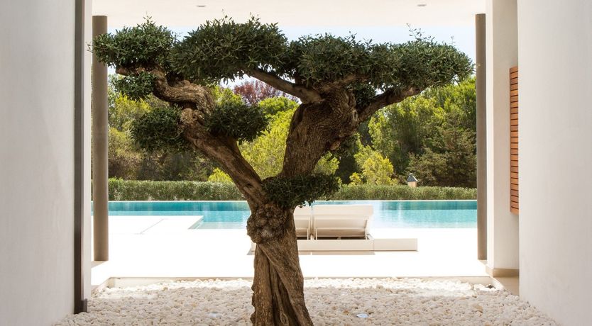 Photo of Sunkissed & Sparkling