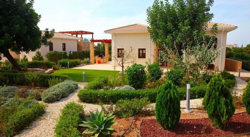 Photo of Sunset Bougainvillea