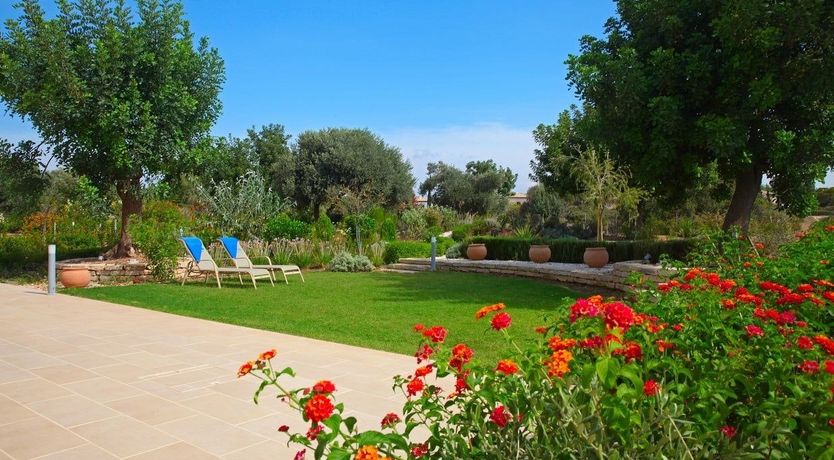 Photo of Sunset Bougainvillea