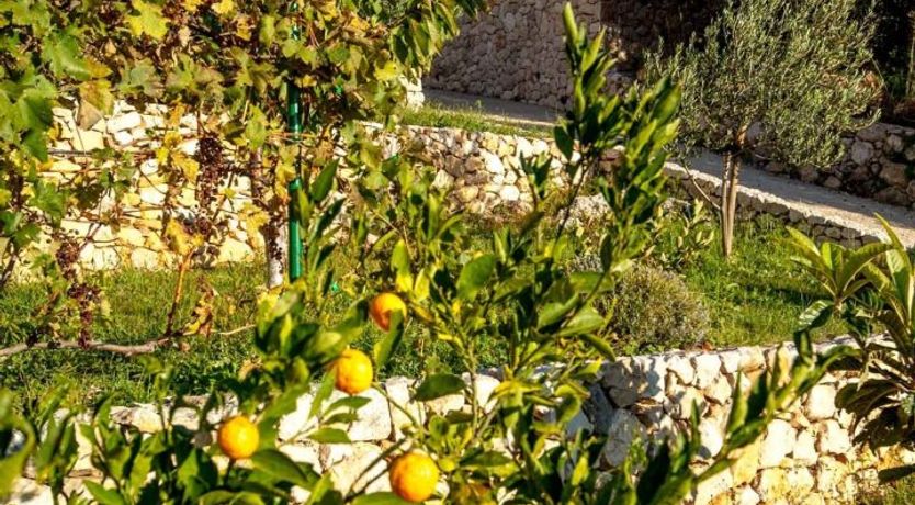 Photo of Biokovo Beauty