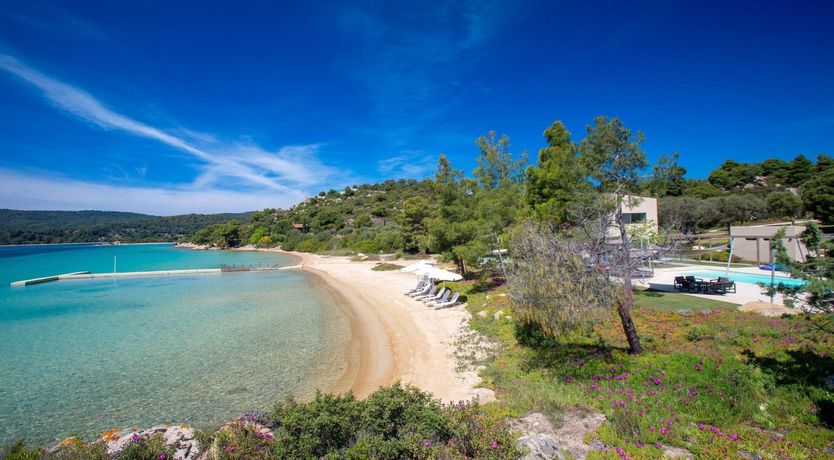 Photo of Along Came Zeus