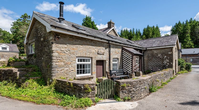 Photo of Dream of Nature