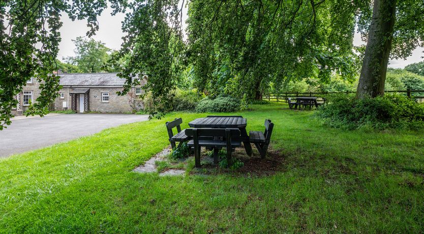 Photo of Dream of Nature