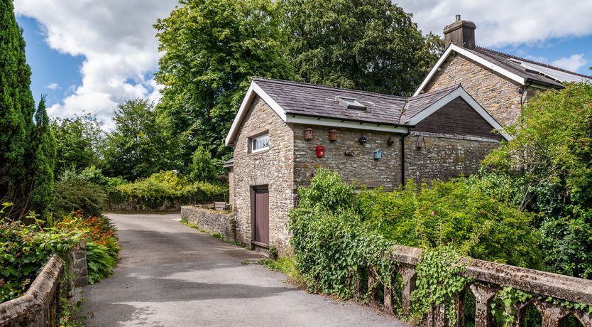 Photo of Dream of Nature