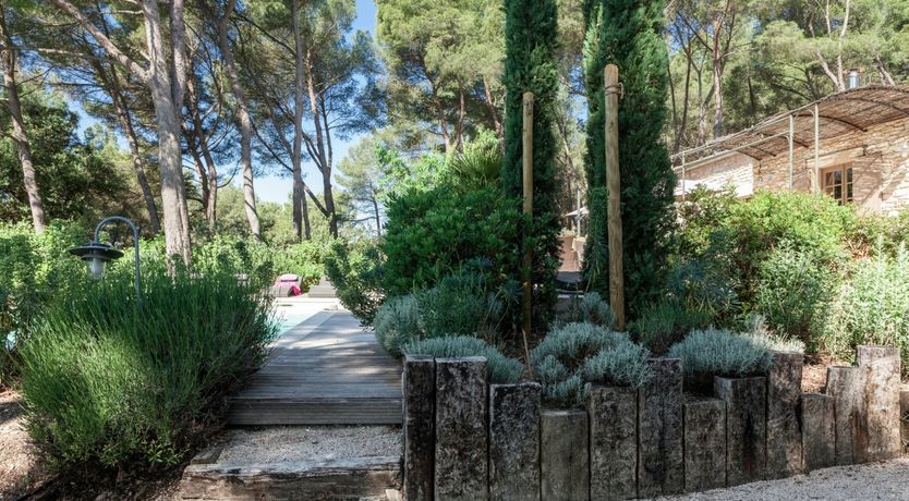 Photo of The Picture of Paradise