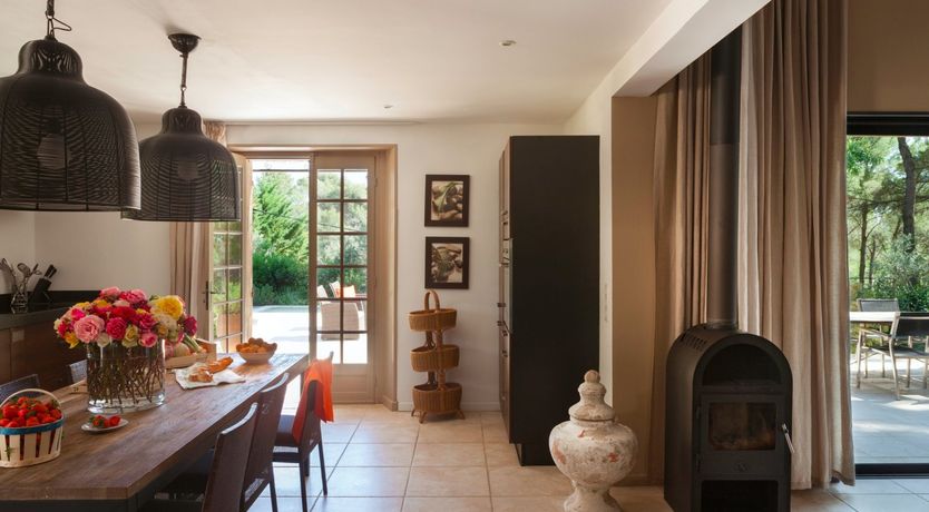 Photo of The Picture of Paradise