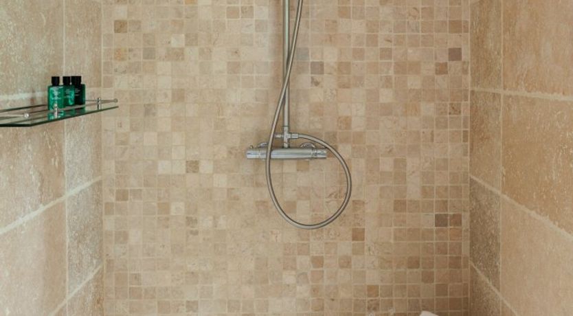 Photo of The Picture of Paradise