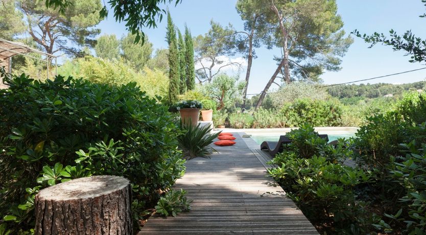 Photo of The Picture of Paradise