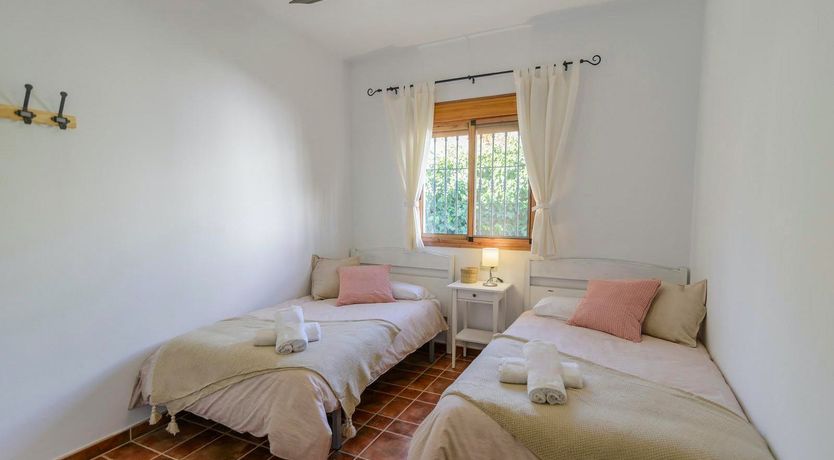 Photo of Spanish Sweet Pea