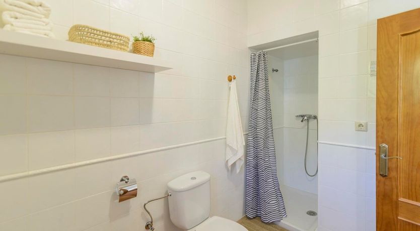 Photo of Spanish Sweet Pea