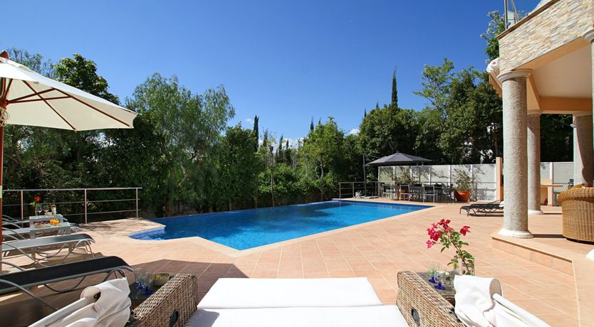 Photo of A Smattering of Sunshine