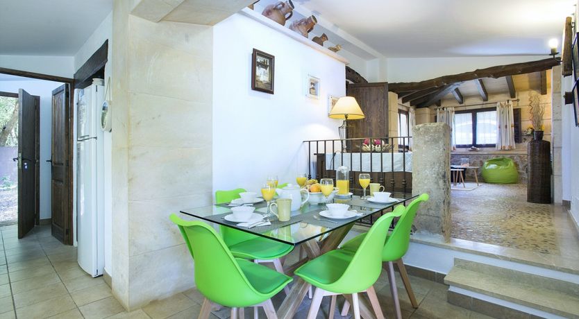 Photo of Up on Magic Mountain