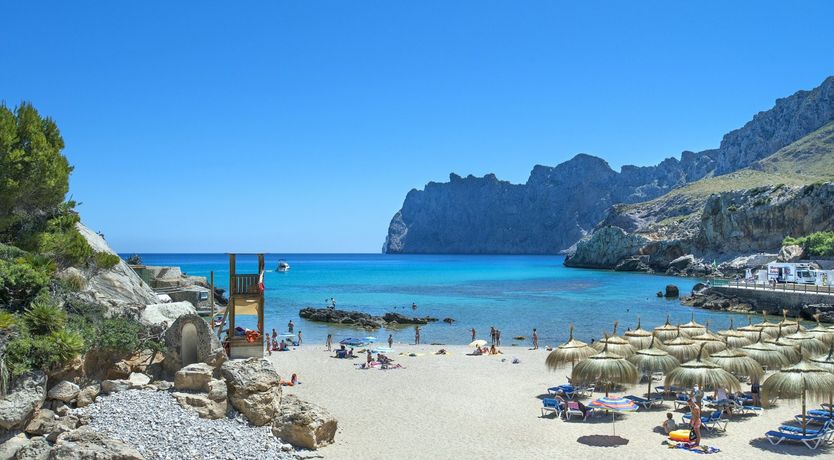 Photo of Up on Magic Mountain