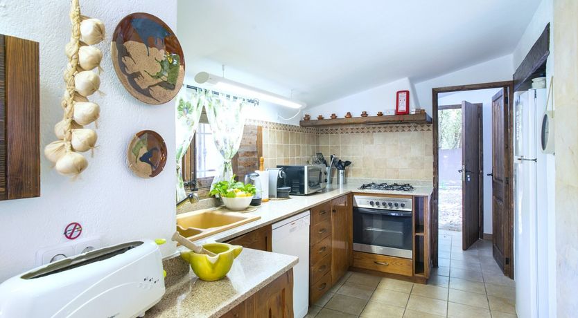 Photo of Up on Magic Mountain