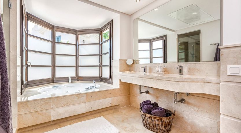 Photo of Peace in the Palms