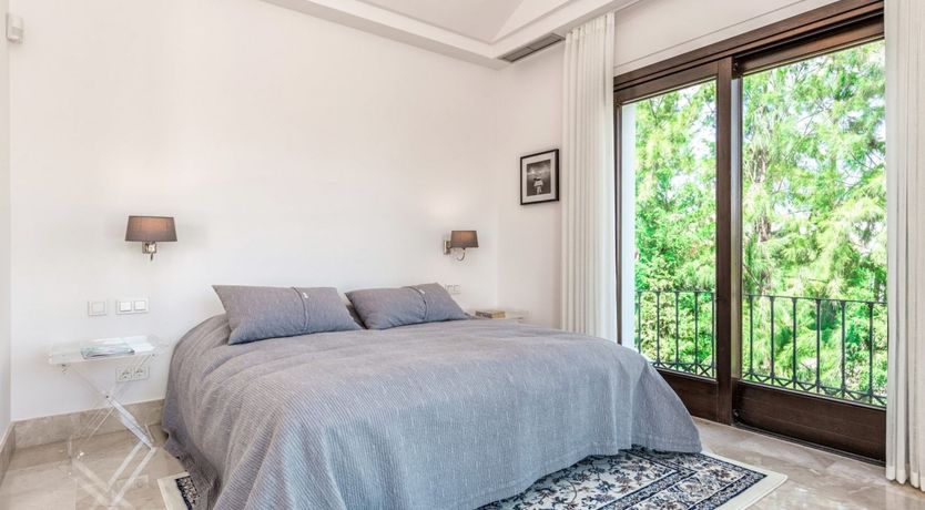 Photo of Peace in the Palms