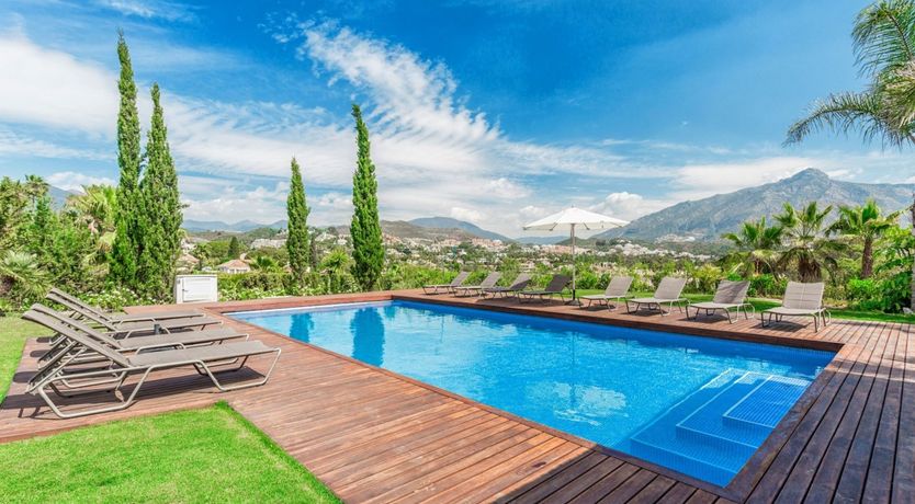 Photo of Peace in the Palms