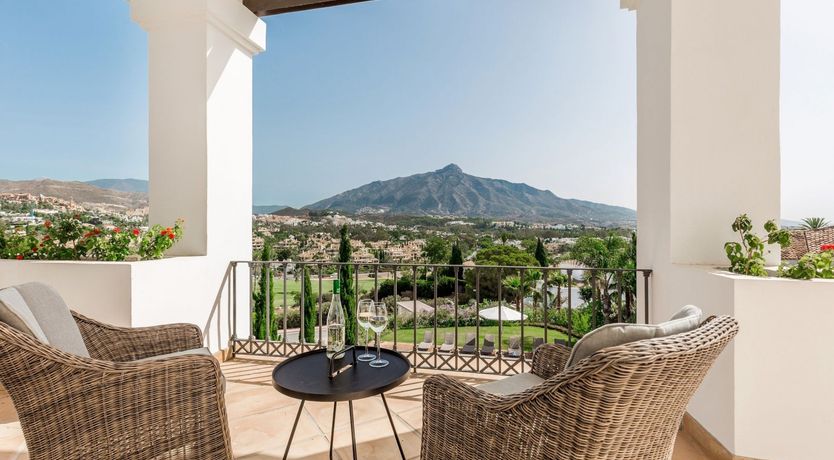 Photo of Peace in the Palms