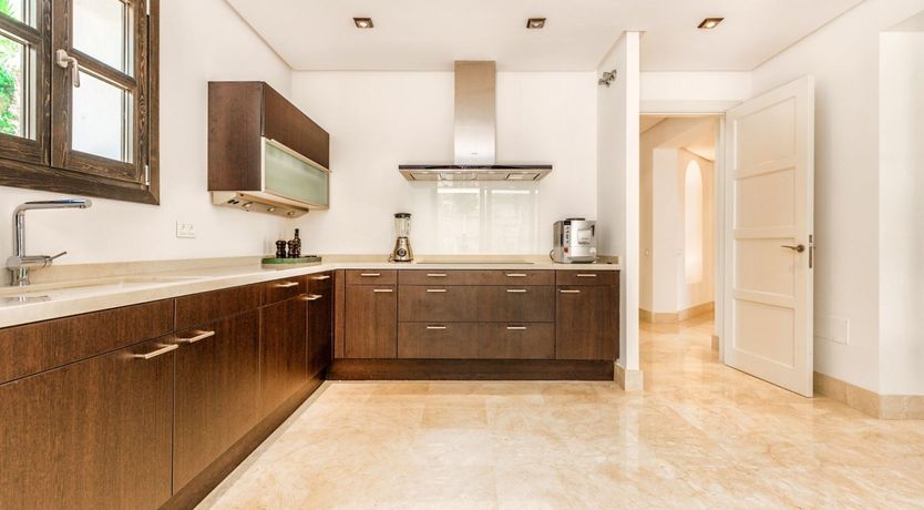 Photo of Peace in the Palms