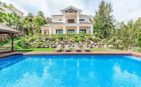 Photo of Peace in the Palms