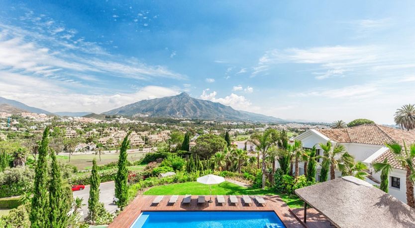 Photo of Peace in the Palms