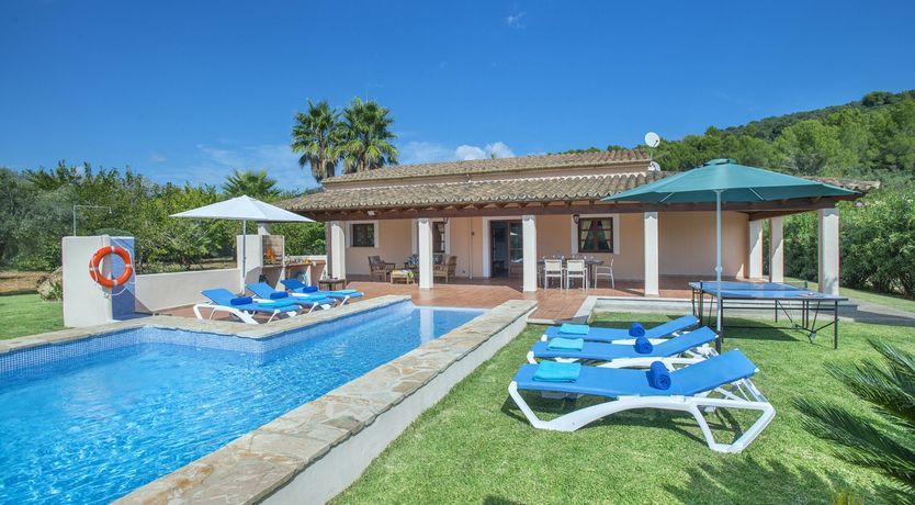 Photo of Green Dreaming