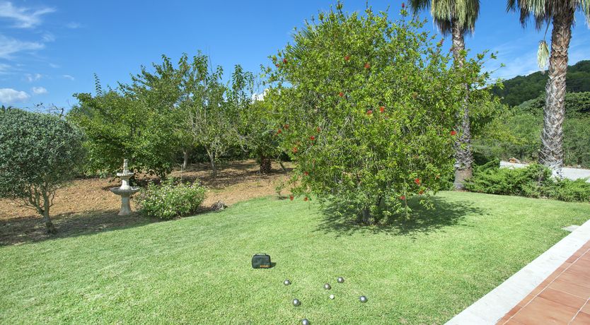 Photo of Green Dreaming