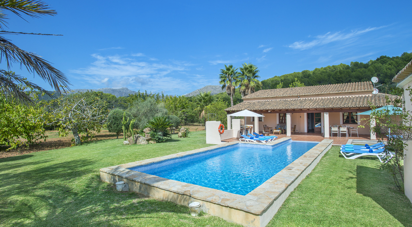 Photo of Green Dreaming