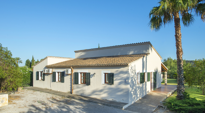 Photo of Green Dreaming