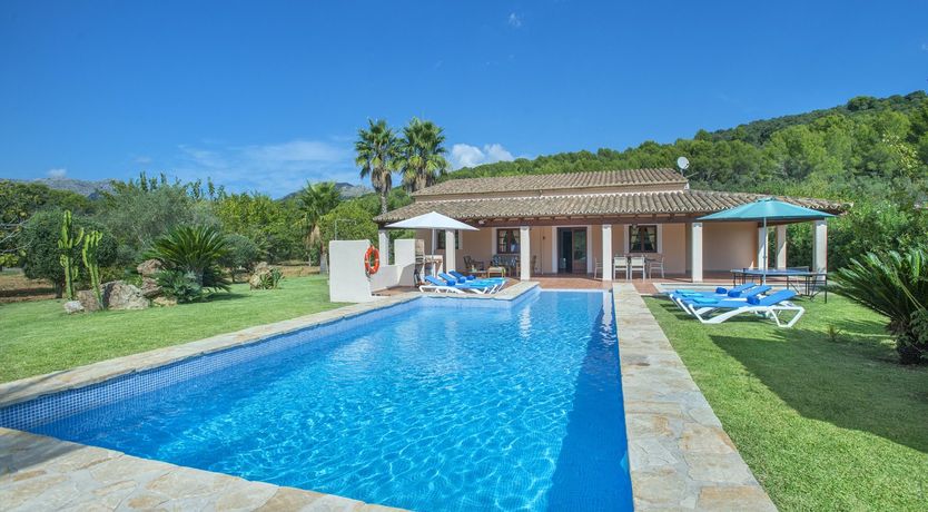 Photo of Green Dreaming