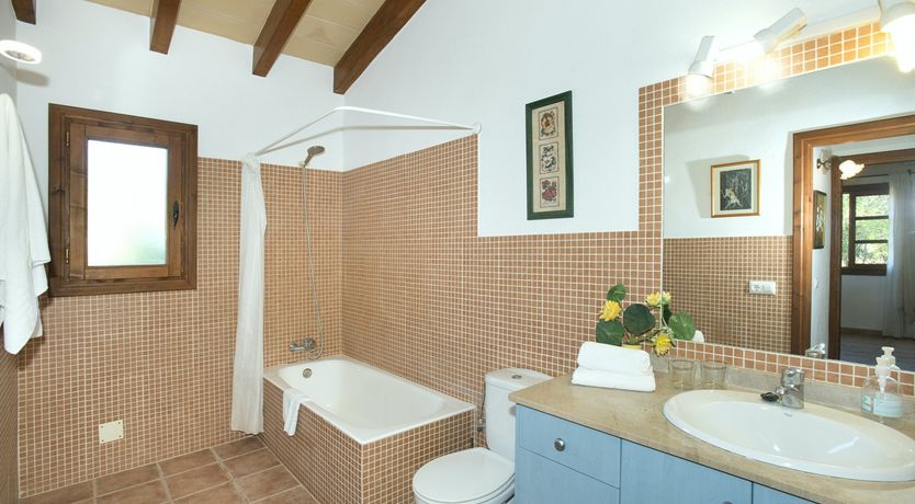 Photo of Green Dreaming