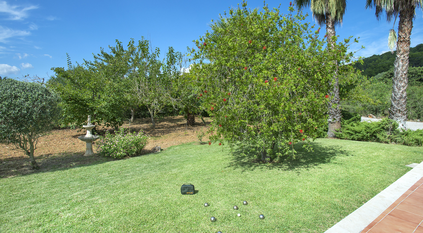 Photo of Green Dreaming