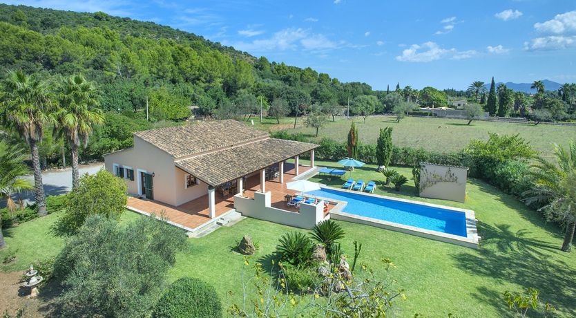 Photo of Green Dreaming