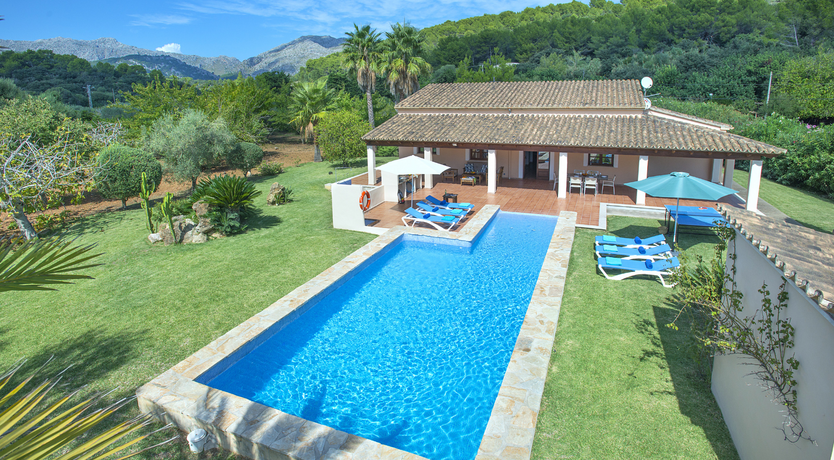 Photo of Green Dreaming