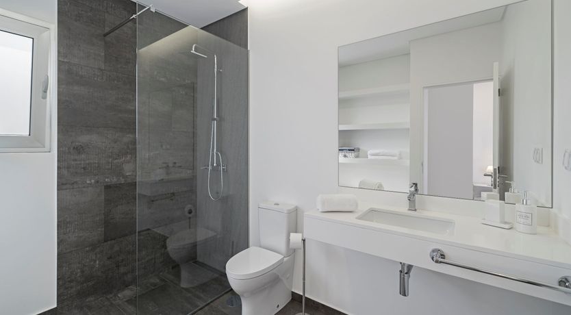 Photo of Sapphire Seabird