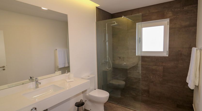 Photo of Sapphire Seabird