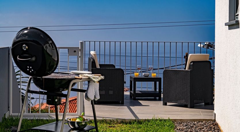 Photo of Sapphire Seabird