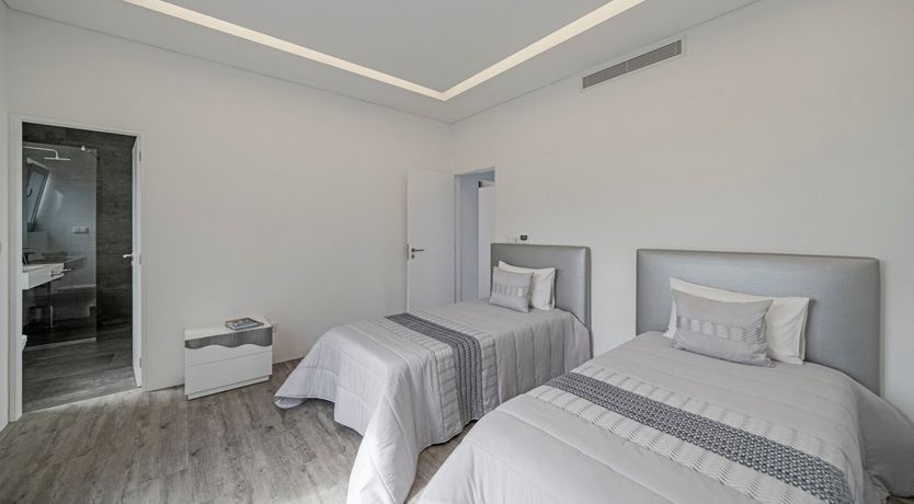 Photo of Sapphire Seabird