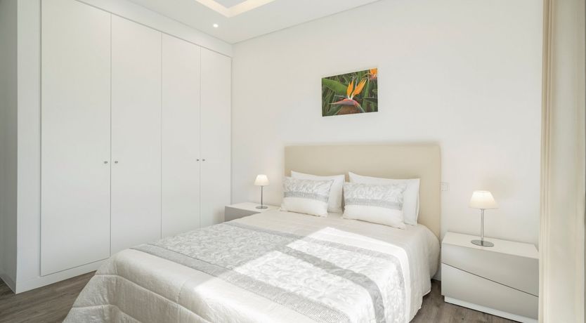 Photo of Sapphire Seabird