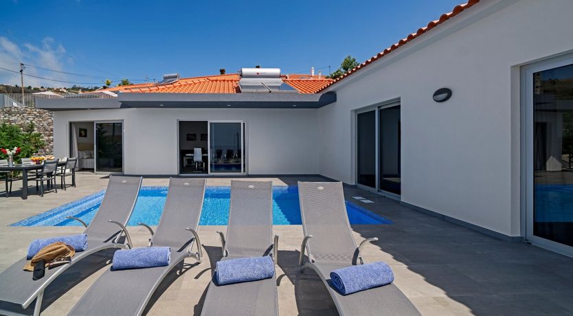 Photo of Sapphire Seabird