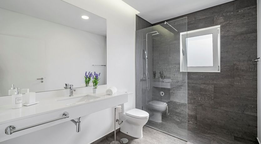 Photo of Sapphire Seabird