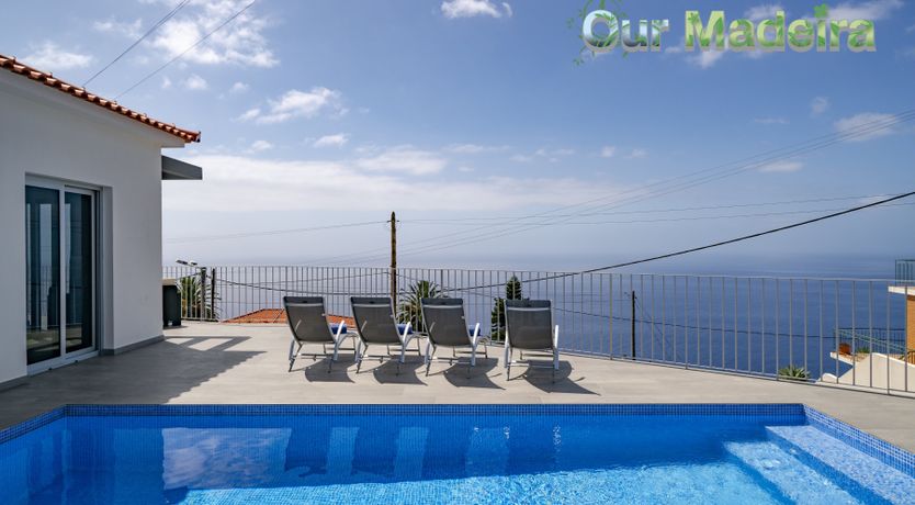 Photo of Sapphire Seabird