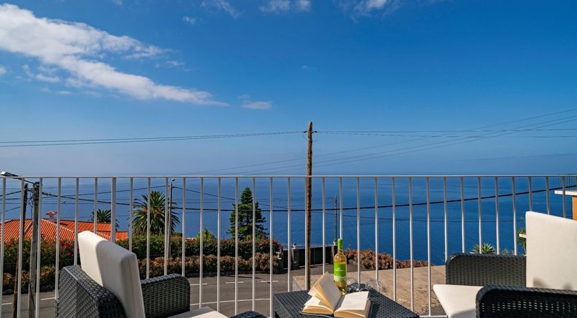 Photo of Sapphire Seabird