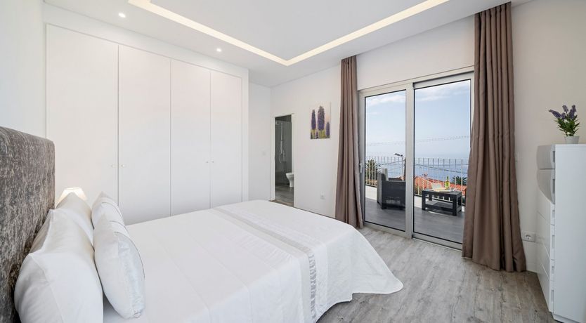 Photo of Sapphire Seabird