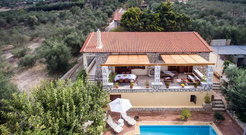 Photo of Amid Ancient Olive Groves