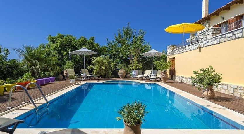 Photo of Amid Ancient Olive Groves